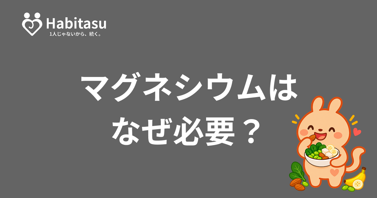 マグネシウムが多い食べ物は？不足を防ぐ、毎日の食事の組み立て方